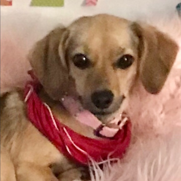 Meet your Posher, Becky - Picture 5 of 6